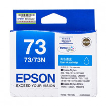 EPSON T105280 靛藍色墨水匣適用於STYLUS TX400/T20